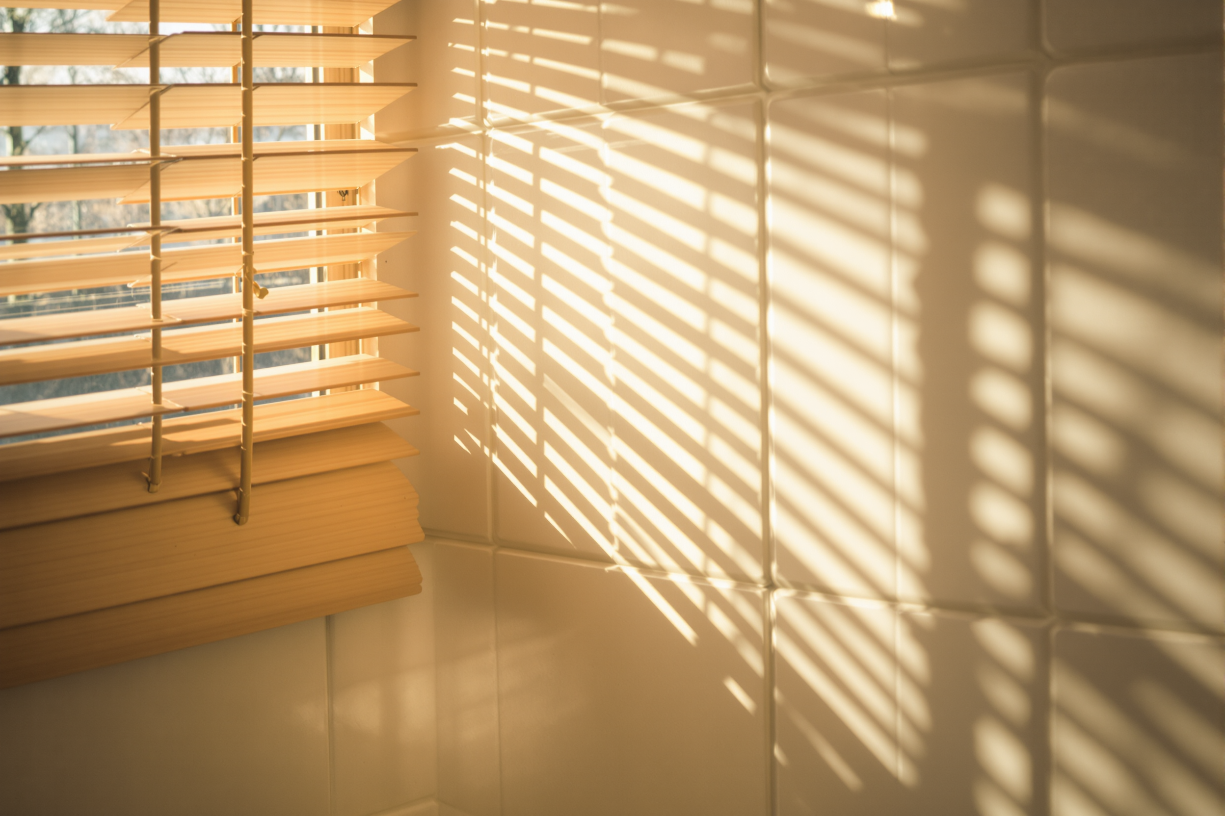 Vitamin D3 — editorial section break